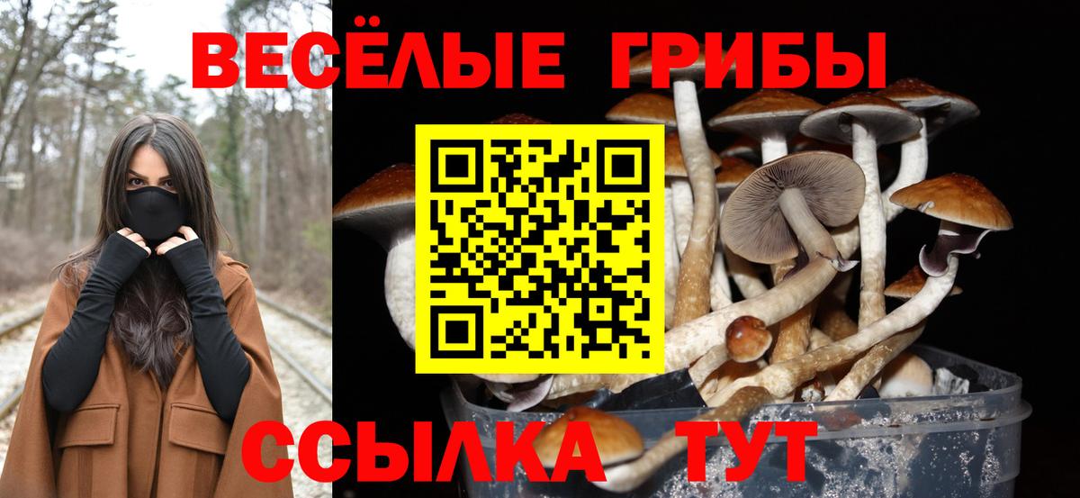 Асбест  Галлюциногенные грибы прущие грибы  Псилоцибиновые грибы мицелий  Вход с VPN 