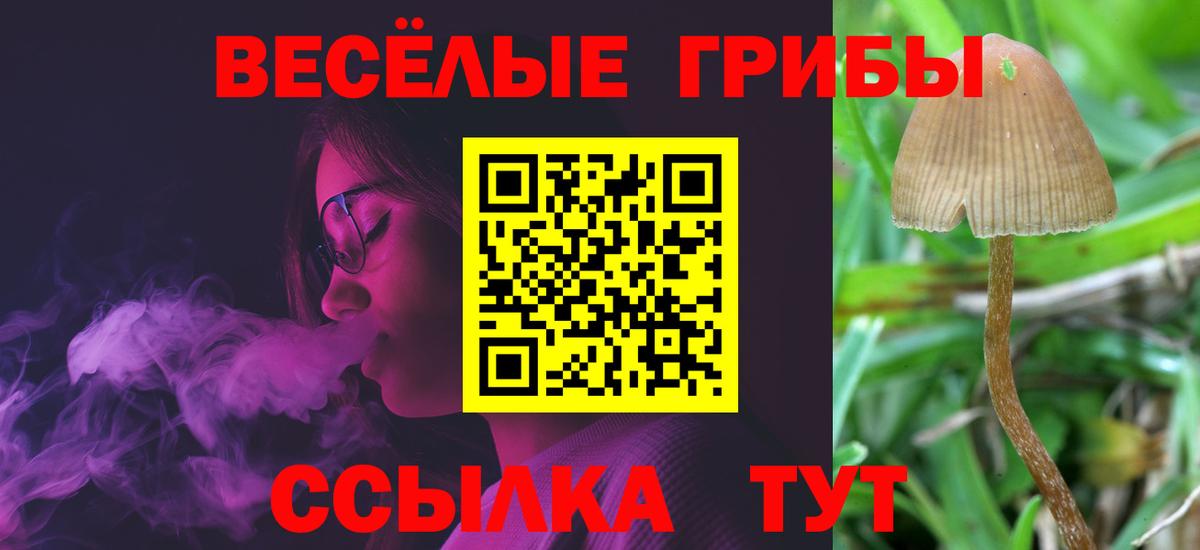 Псилоцибиновые грибы Magic Shrooms Асбест